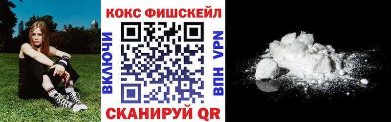 Cocaine FishScale  Купить где  Абинск 